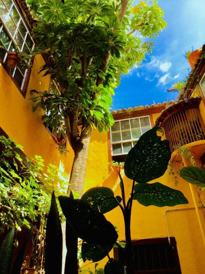 Casa Alves, Ultimo Tercio S. XVI Apartment Santa Cruz de la Palma  Ngoại thất bức ảnh